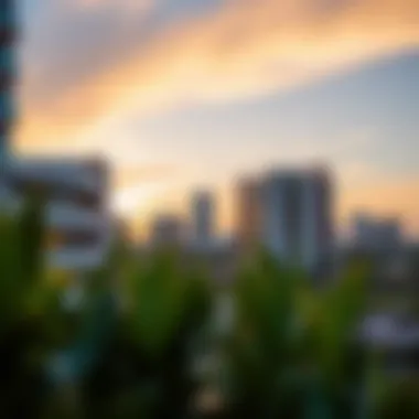 Amber Studio City: An In-Depth Exploration Summary Amber Studio City: An In-Depth Exploration Summary