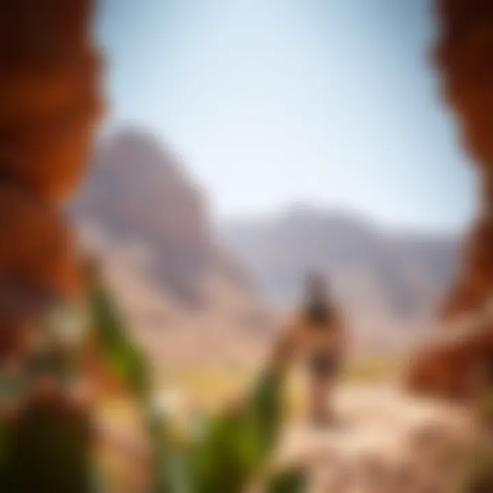 Notable An In-Depth Exploration of the Hatta Hiking Trail