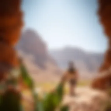 Notable An In-Depth Exploration of the Hatta Hiking Trail Notable An In-Depth Exploration of the Hatta Hiking Trail