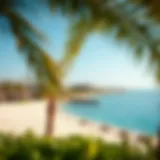 Cove Beach: A Serene Escape Scenic view of Cove Beach with turquoise waters