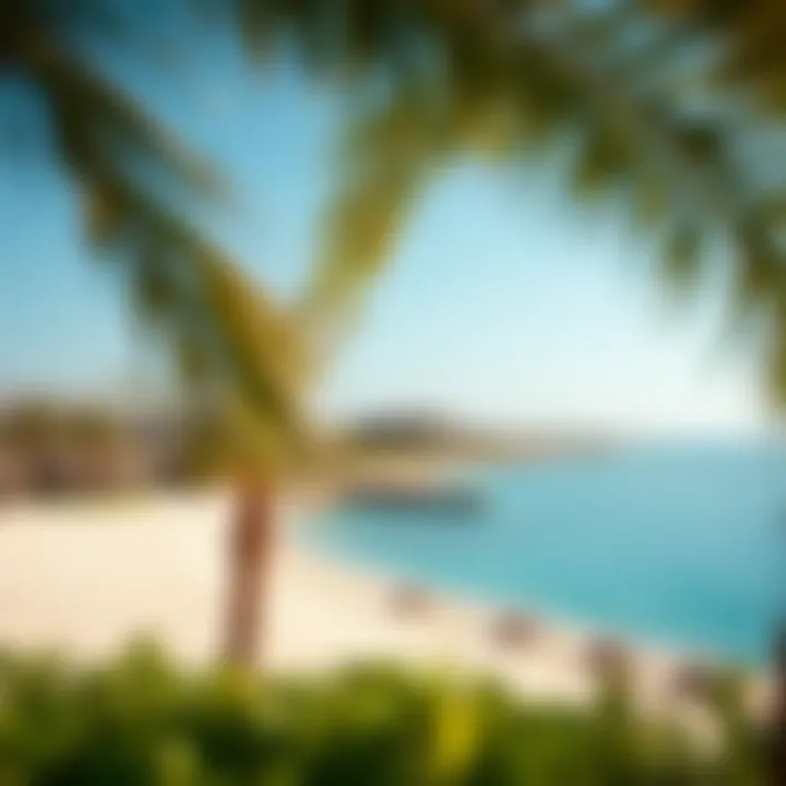 Cove Beach: A Serene Escape Scenic view of Cove Beach with turquoise waters