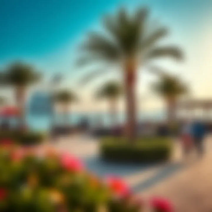 Vibrant community amenities available at Al Zarooni Marina