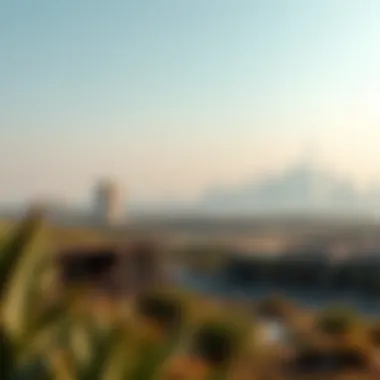 A panoramic view of Katura Reserve against Dubai’s skyline