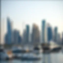 Stunning skyline view of Marina Shores