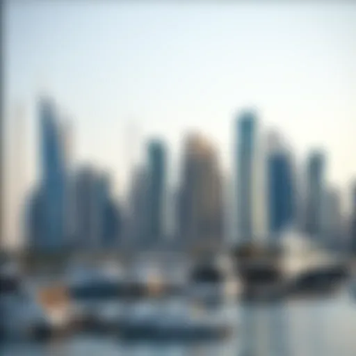Stunning skyline view of Marina Shores