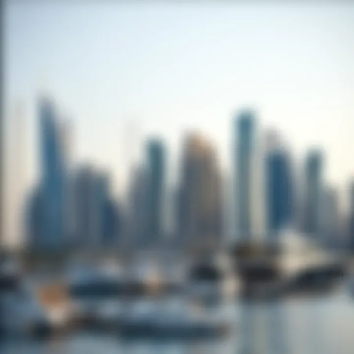 Stunning skyline view of Marina Shores
