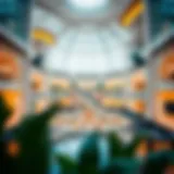 Stunning architectural design of Palm Mall showcasing modern aesthetics and elegance