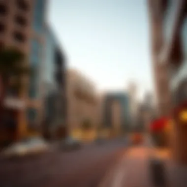 Real Estate Trends in Sheikh Rashid Bin Saeed Street Infographic on real estate trends in Sheikh Rashid Bin Saeed Street for potential investors
