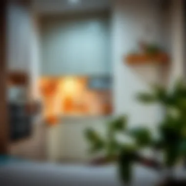 Cozy Kitchen in a Studio Cozy studio kitchen with essential appliances