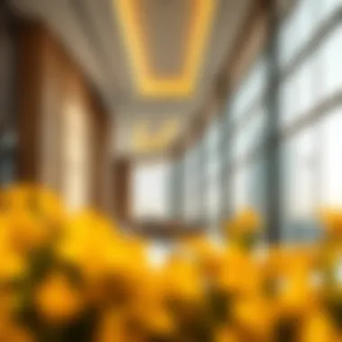Exploring Symphony Apartments in Bur Dubai Introduction Exploring Symphony Apartments in Bur Dubai Introduction