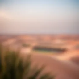 Stunning view of the Dhanat Al Ain Resort surrounded by picturesque dunes