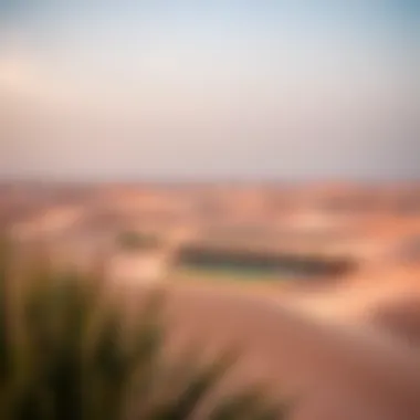 Breathtaking Landscape of Dhanat Al Ain Resort Stunning view of the Dhanat Al Ain Resort surrounded by picturesque dunes