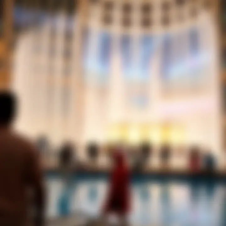 Visitors enjoying the fountain show against the backdrop of the mall