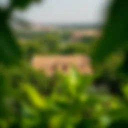 Aerial view of Al Ain's Green Fort surrounded by lush greenery
