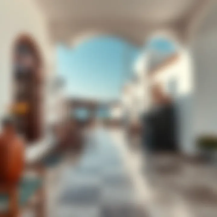 Exploring the Hydra Village: A Comprehensive Overview Summary