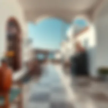 Exploring the Hydra Village: A Comprehensive Overview Summary Exploring the Hydra Village: A Comprehensive Overview Summary