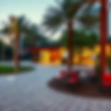Community Park in Dubai Vibrant community park in one of Dubai's neighborhoods