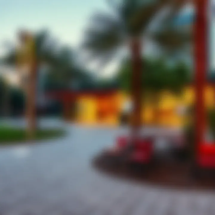 Community Park in Dubai Vibrant community park in one of Dubai's neighborhoods
