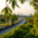 A panoramic view of the Mushrif Park Cycle Track surrounded by lush greenery