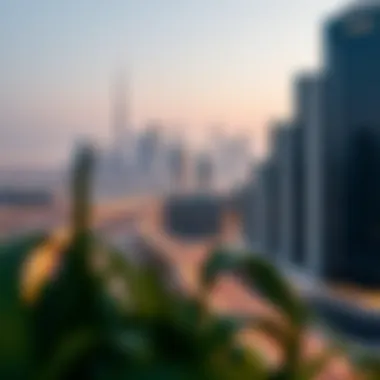 Dubai's Evolving Skyline A panoramic view of Dubai's skyline