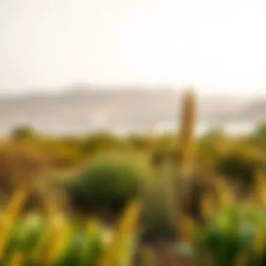 Thriving Flora and Fauna in Ras Khor Flora and fauna thriving in the protected area of Ras Khor