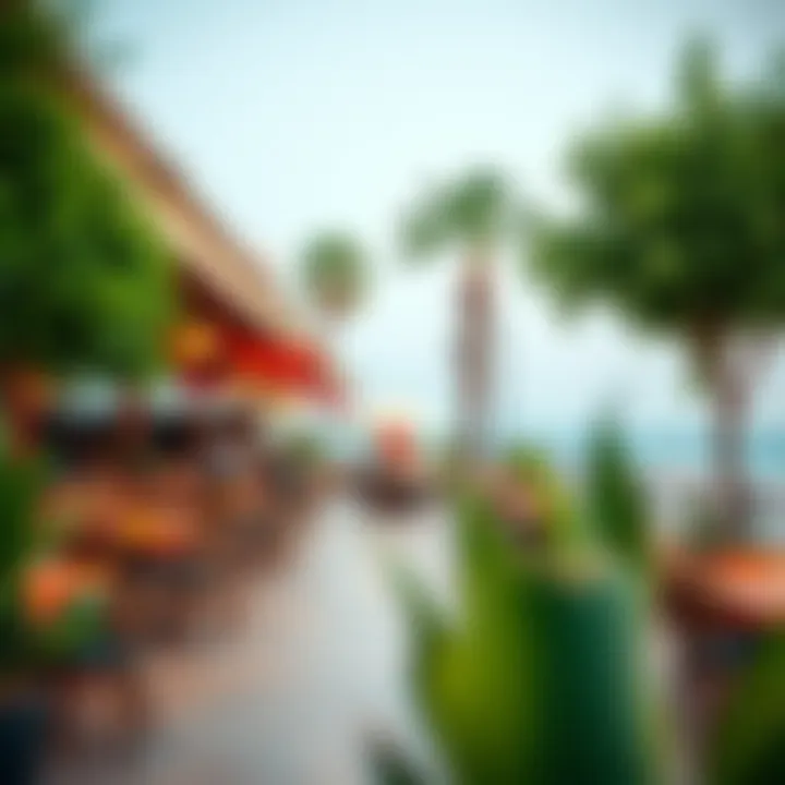 Aljada's Inviting Outdoor Dining Spaces Vibrant outdoor seating with lush greenery