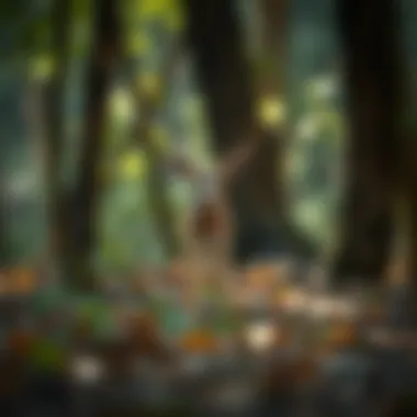 Diverse Wildlife in Ghaf Woods Diverse wildlife thriving in Ghaf woods