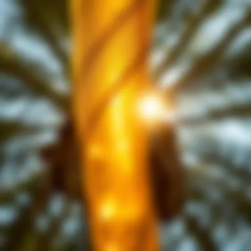 A close-up of palm tree sap glistening in the sunlight, showcasing its natural texture.