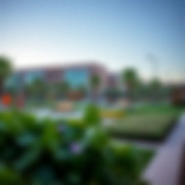 A lush park within Town Square featuring green landscapes and recreational areas.