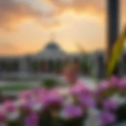 Understanding Nuaimiya: A Comprehensive Overview Introduction