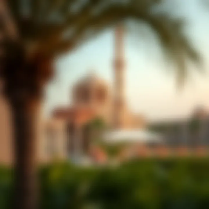 Understanding Nuaimiya: A Comprehensive Overview Summary